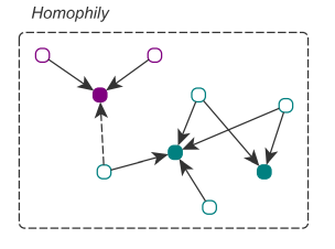 Homophily